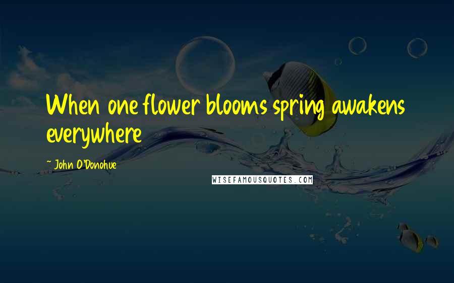 John O'Donohue Quotes: When one flower blooms spring awakens everywhere