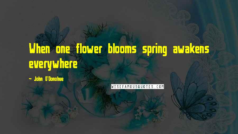 John O'Donohue Quotes: When one flower blooms spring awakens everywhere