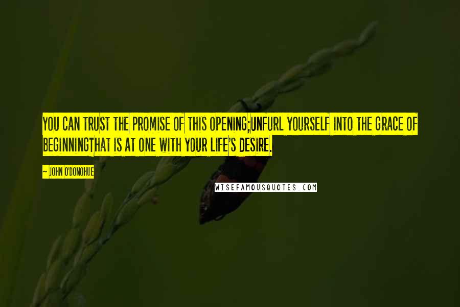 John O'Donohue Quotes: You can trust the promise of this opening;Unfurl yourself into the grace of beginningThat is at one with your life's desire.