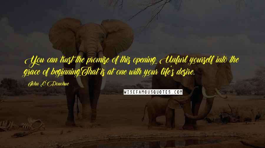 John O'Donohue Quotes: You can trust the promise of this opening;Unfurl yourself into the grace of beginningThat is at one with your life's desire.