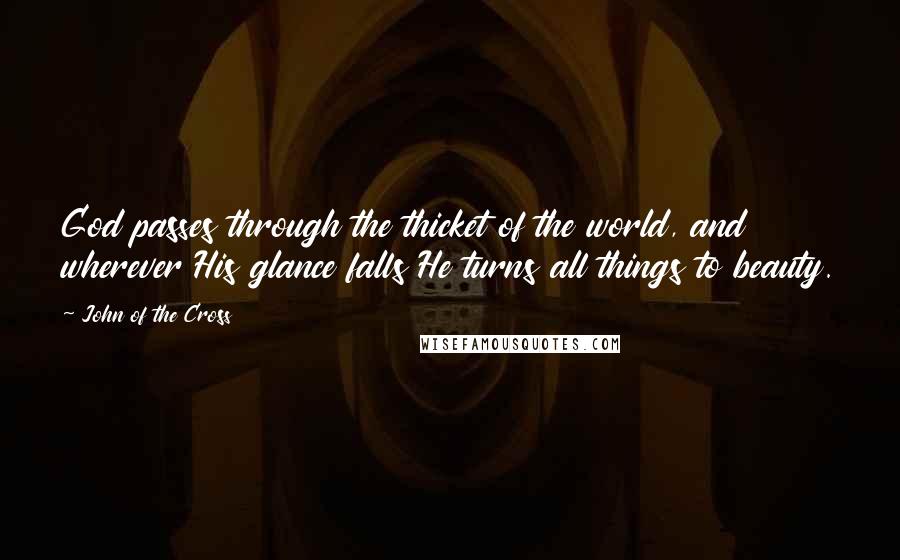 John Of The Cross Quotes: God passes through the thicket of the world, and wherever His glance falls He turns all things to beauty.