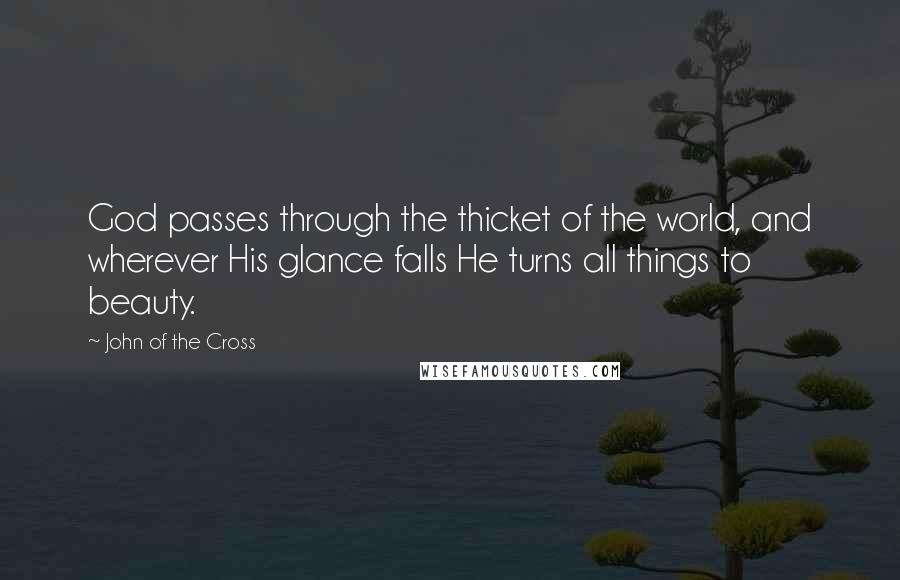 John Of The Cross Quotes: God passes through the thicket of the world, and wherever His glance falls He turns all things to beauty.