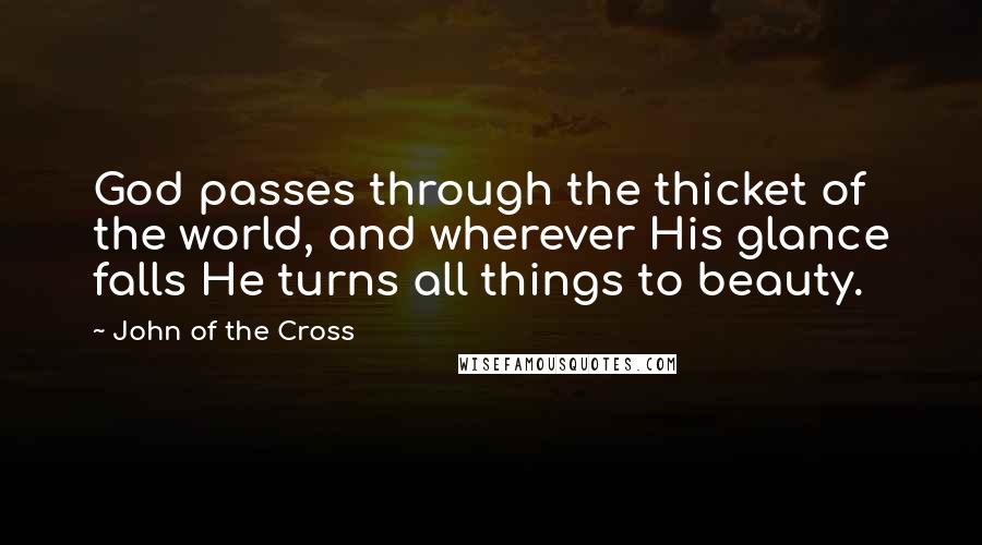 John Of The Cross Quotes: God passes through the thicket of the world, and wherever His glance falls He turns all things to beauty.