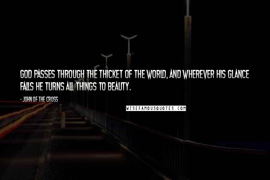 John Of The Cross Quotes: God passes through the thicket of the world, and wherever His glance falls He turns all things to beauty.