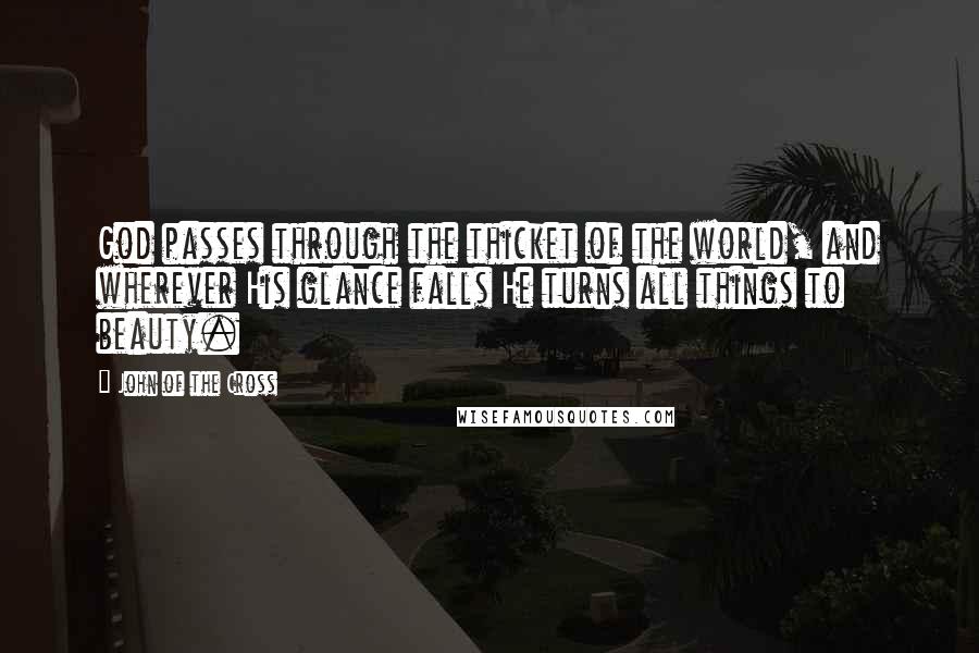 John Of The Cross Quotes: God passes through the thicket of the world, and wherever His glance falls He turns all things to beauty.