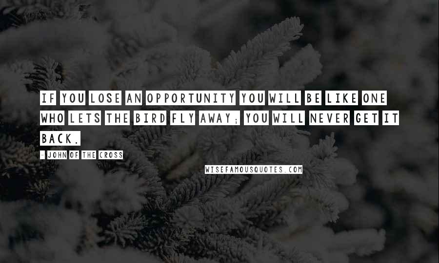 John Of The Cross Quotes: If you lose an opportunity you will be like one who lets the bird fly away; you will never get it back.