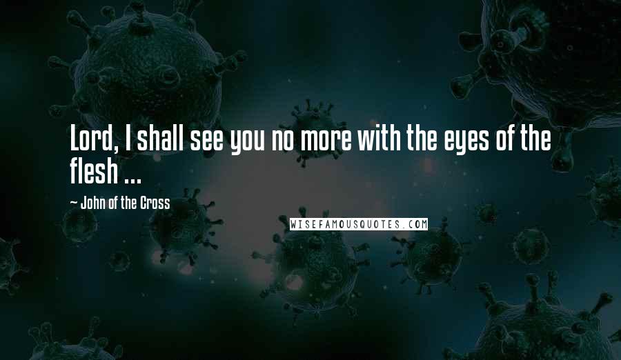 John Of The Cross Quotes: Lord, I shall see you no more with the eyes of the flesh ...