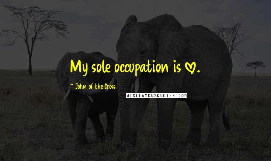 John Of The Cross Quotes: My sole occupation is love.