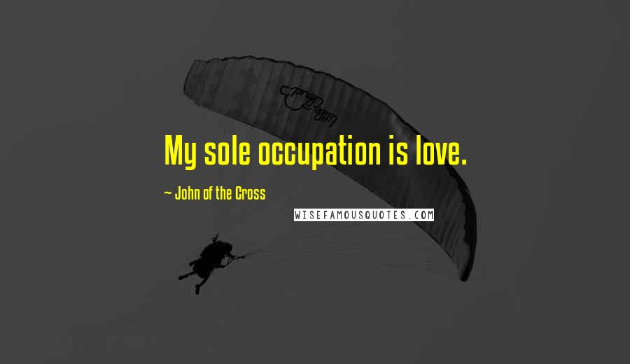John Of The Cross Quotes: My sole occupation is love.