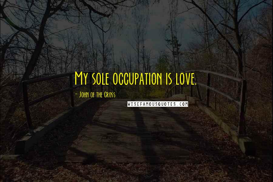 John Of The Cross Quotes: My sole occupation is love.