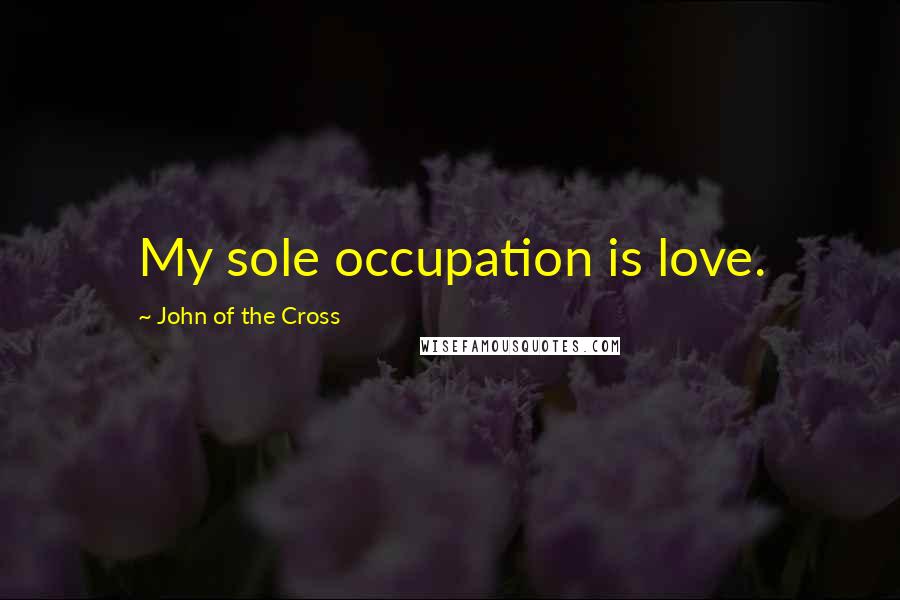 John Of The Cross Quotes: My sole occupation is love.