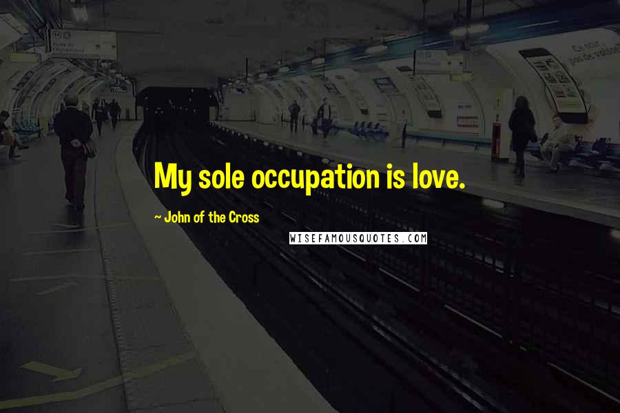 John Of The Cross Quotes: My sole occupation is love.