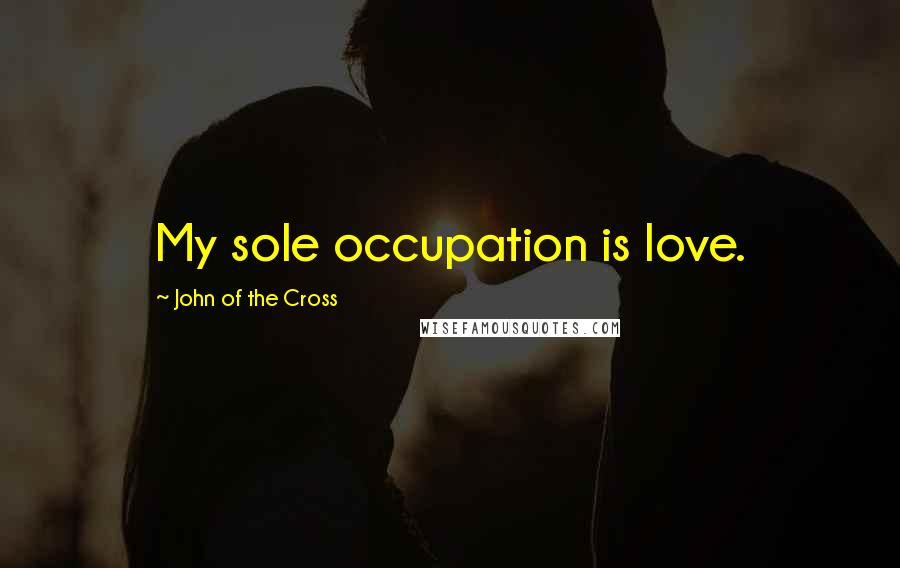 John Of The Cross Quotes: My sole occupation is love.