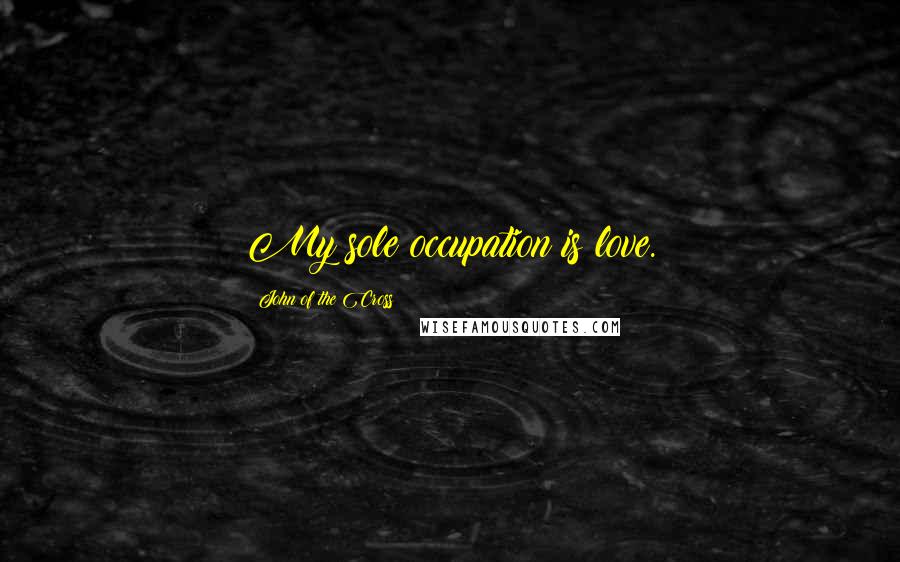 John Of The Cross Quotes: My sole occupation is love.