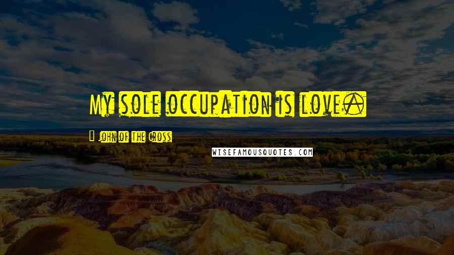 John Of The Cross Quotes: My sole occupation is love.