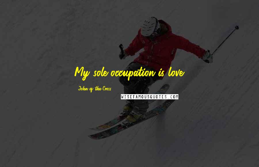 John Of The Cross Quotes: My sole occupation is love.