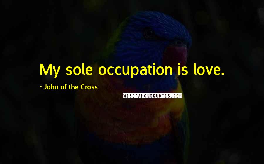 John Of The Cross Quotes: My sole occupation is love.