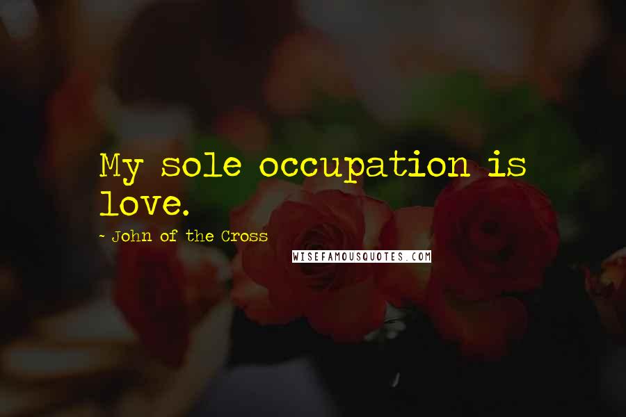 John Of The Cross Quotes: My sole occupation is love.