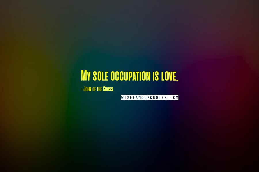 John Of The Cross Quotes: My sole occupation is love.