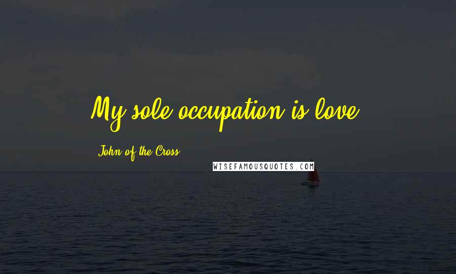 John Of The Cross Quotes: My sole occupation is love.
