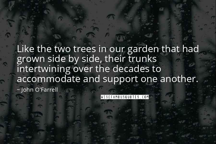 John O'Farrell Quotes: Like the two trees in our garden that had grown side by side, their trunks intertwining over the decades to accommodate and support one another.