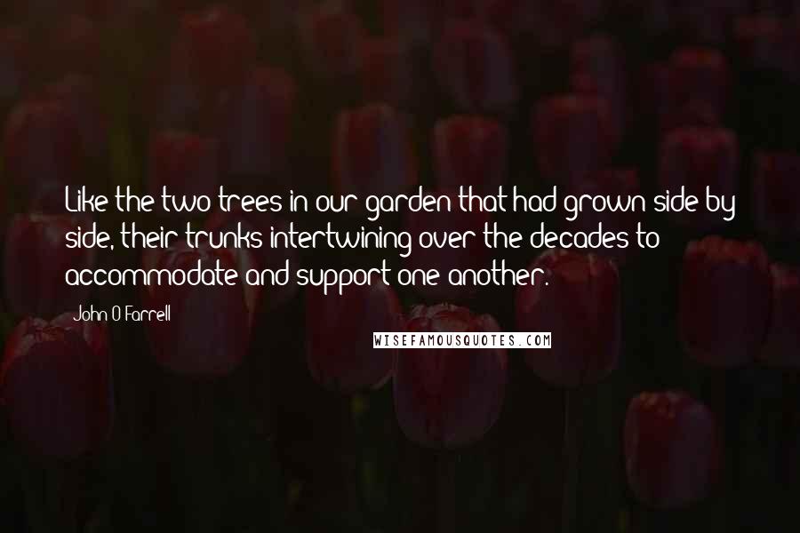 John O'Farrell Quotes: Like the two trees in our garden that had grown side by side, their trunks intertwining over the decades to accommodate and support one another.