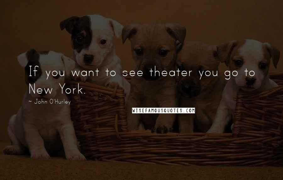 John O'Hurley Quotes: If you want to see theater you go to New York.