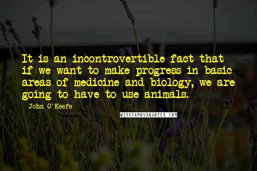 John O'Keefe Quotes: It is an incontrovertible fact that if we want to make progress in basic areas of medicine and biology, we are going to have to use animals.