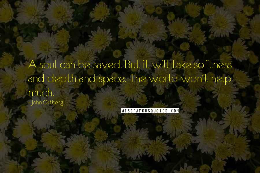 John Ortberg Quotes: A soul can be saved. But it will take softness and depth and space. The world won't help much.