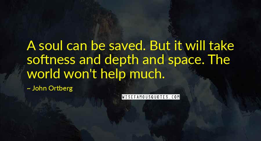 John Ortberg Quotes: A soul can be saved. But it will take softness and depth and space. The world won't help much.