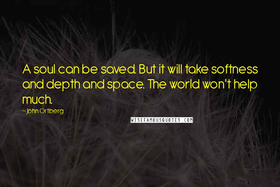 John Ortberg Quotes: A soul can be saved. But it will take softness and depth and space. The world won't help much.