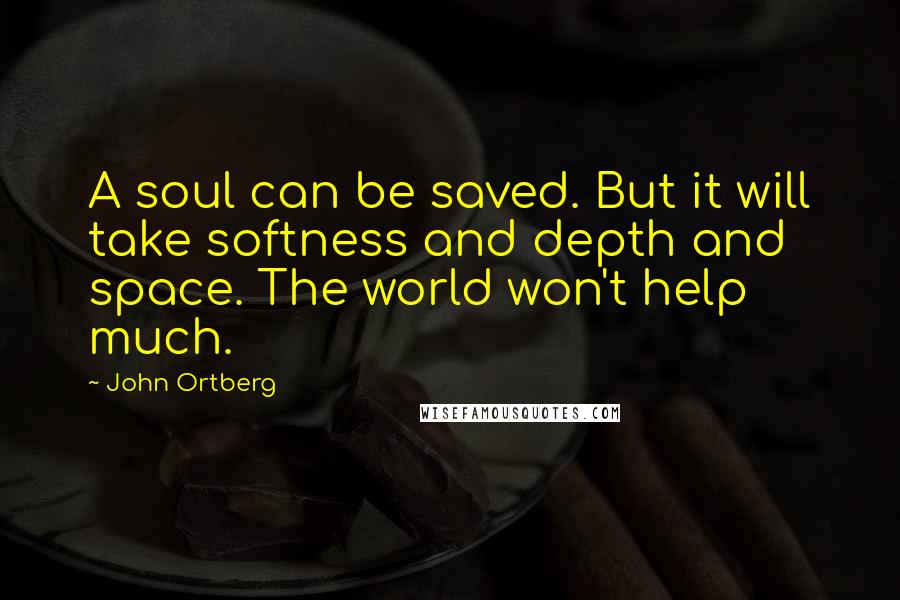 John Ortberg Quotes: A soul can be saved. But it will take softness and depth and space. The world won't help much.