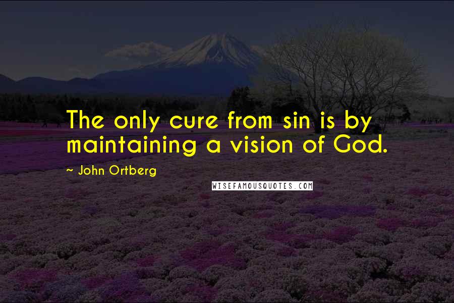 John Ortberg Quotes: The only cure from sin is by maintaining a vision of God.
