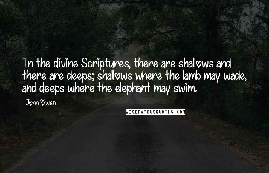 John Owen Quotes: In the divine Scriptures, there are shallows and there are deeps; shallows where the lamb may wade, and deeps where the elephant may swim.