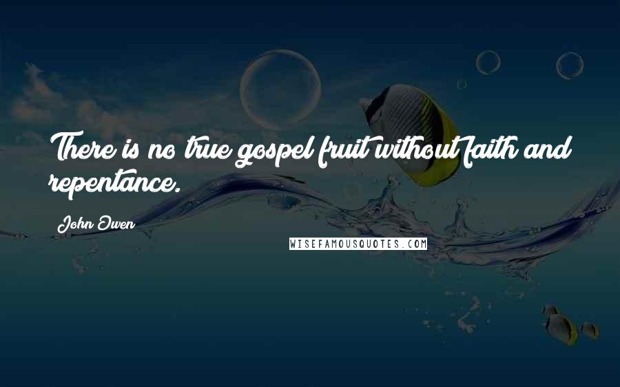 John Owen Quotes: There is no true gospel fruit without faith and repentance.