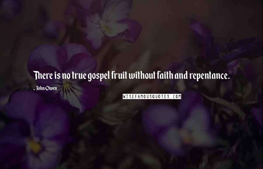 John Owen Quotes: There is no true gospel fruit without faith and repentance.