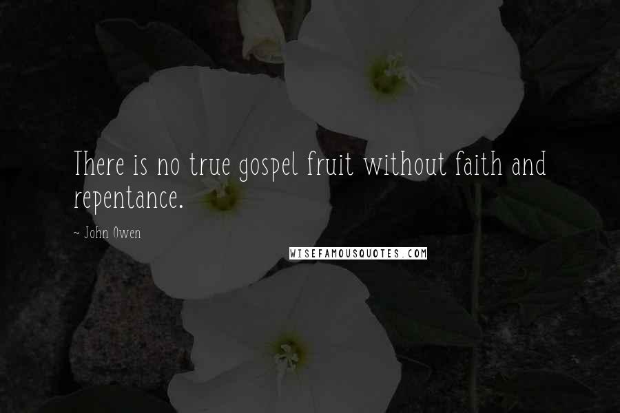 John Owen Quotes: There is no true gospel fruit without faith and repentance.