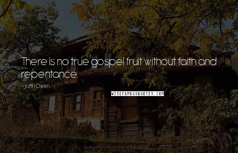John Owen Quotes: There is no true gospel fruit without faith and repentance.