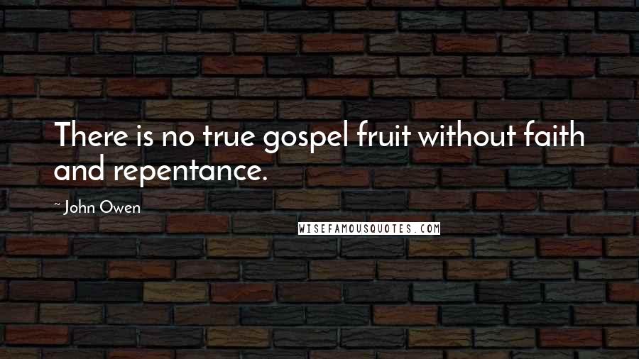 John Owen Quotes: There is no true gospel fruit without faith and repentance.