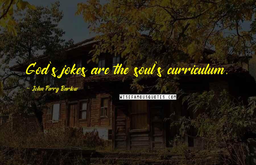 John Perry Barlow Quotes: God's jokes are the soul's curriculum.