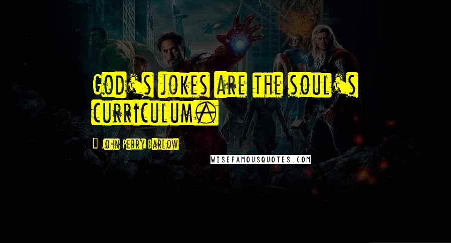 John Perry Barlow Quotes: God's jokes are the soul's curriculum.