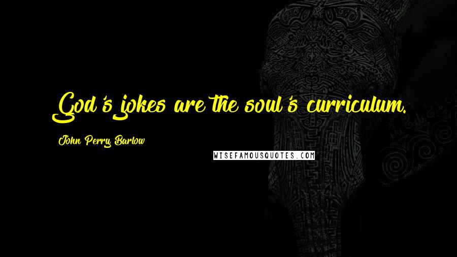 John Perry Barlow Quotes: God's jokes are the soul's curriculum.