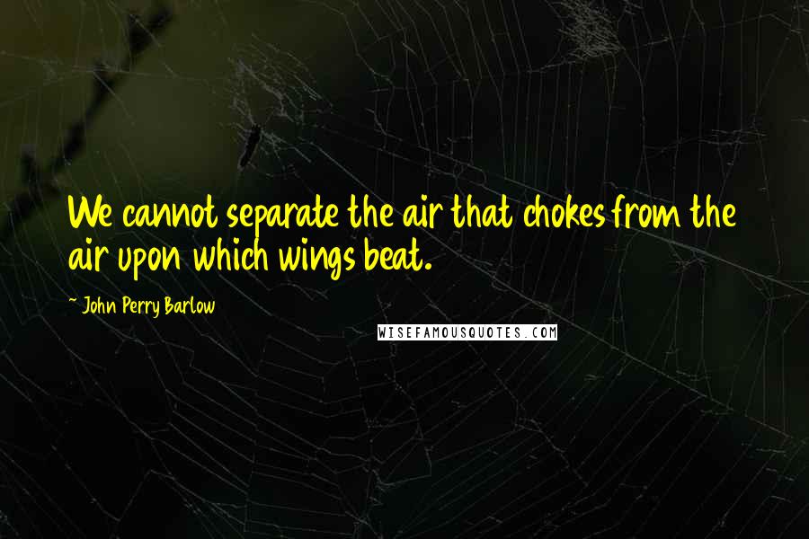 John Perry Barlow Quotes: We cannot separate the air that chokes from the air upon which wings beat.