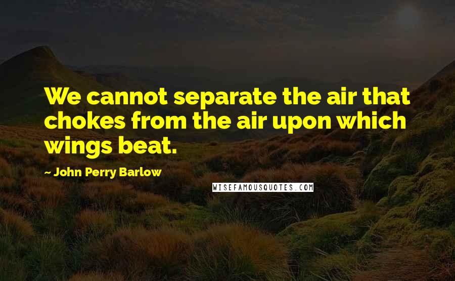 John Perry Barlow Quotes: We cannot separate the air that chokes from the air upon which wings beat.