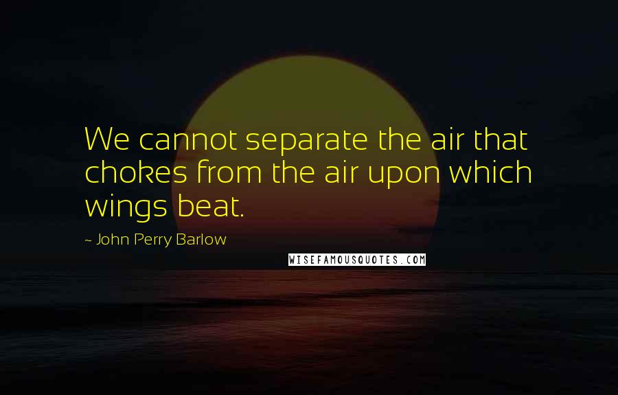 John Perry Barlow Quotes: We cannot separate the air that chokes from the air upon which wings beat.