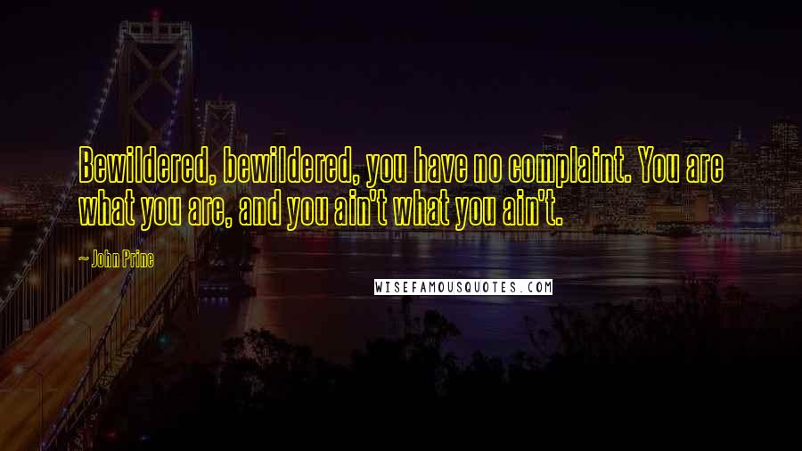 John Prine Quotes: Bewildered, bewildered, you have no complaint. You are what you are, and you ain't what you ain't.