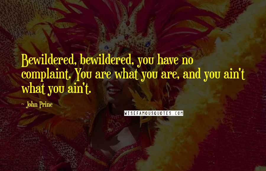 John Prine Quotes: Bewildered, bewildered, you have no complaint. You are what you are, and you ain't what you ain't.