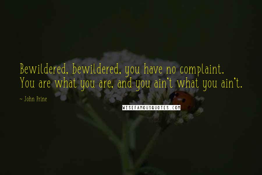 John Prine Quotes: Bewildered, bewildered, you have no complaint. You are what you are, and you ain't what you ain't.