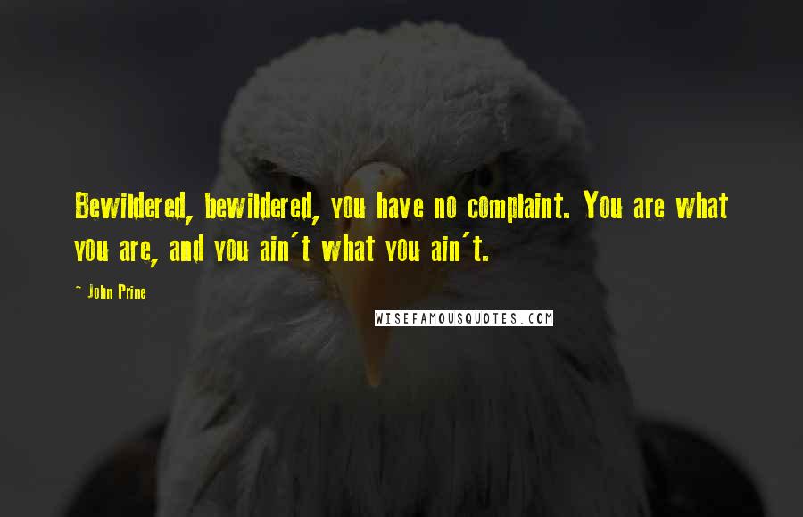 John Prine Quotes: Bewildered, bewildered, you have no complaint. You are what you are, and you ain't what you ain't.