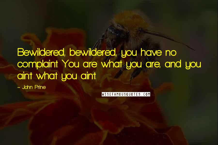 John Prine Quotes: Bewildered, bewildered, you have no complaint. You are what you are, and you ain't what you ain't.